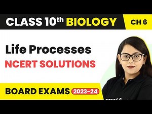 NCERT Solutions - Life Processes | Class 10th Biology