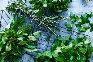 Never Waste Herbs Again With These Simple Tips
