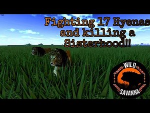 Wild Savannah| Lion Survival | Roblox | The Harsh Plains of the Savannah |