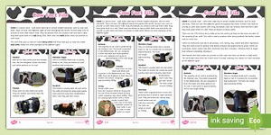 Cow Fact File