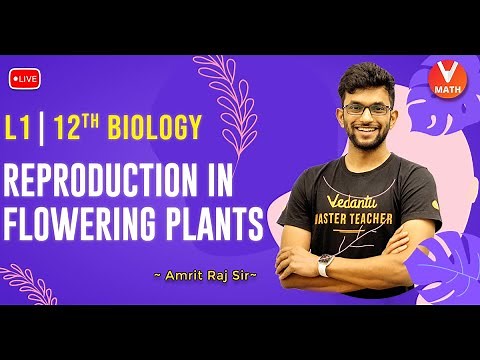 Reproduction In Flowering Plants Class 12 - L1🌱| 12th Biology 🎯 | Amrit Raj Sir | Vedantu Math✌