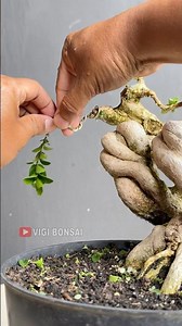 Formed with Feeling and Care,