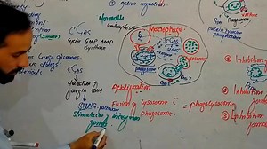 5.4K views · 682 reactions | Tuberculosis | Up Teaching Academy | Facebook