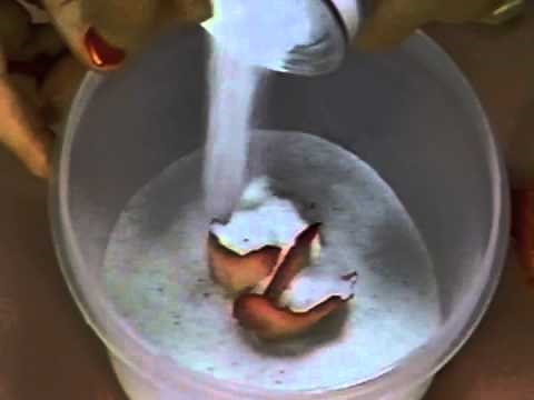 Drying Flower with Silica Gel