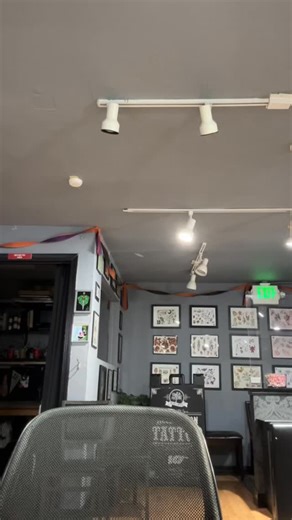 Tattoos by Sophie-Xia on Instagram: "Spend the day with me ✨asmr edition✨ as I do some organizing, a little saguaro tattoo, and then head back to my ancient cat Baby! Looking for your next tattoo? To book, hit the link in my bio, fill out the form and pick your appt date :) and feel free to DM me if you have any questions!! To see the rest of the flash, check out my highlights ✨ •••••••••• #bayareatattoo #oaklandtattoo #dontbesadgogetatattoo #queertattoos #queertattooartist"