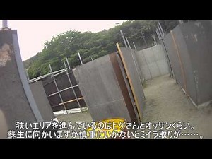 【その１３５】アタマが8bitのオッサンがサバイバルゲームをはじめてみた