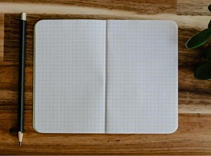 Grid Drawing: A How-To Guide | Drawing Fan