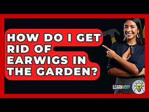 How Do I Get Rid Of Earwigs In The Garden? - LearnToDIY360.com