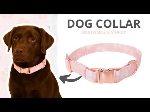 DIY Dog Collar for Beginners 🧵 Handmade Collar Sewing Guide