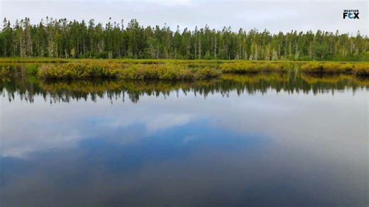 USA’s Most Scenic Roadway Routes Travellers Love!