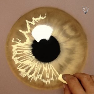 Golden Iris Soft pastels drawing ... | Veri Apriyatno Artist