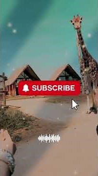 Adorable Giraffe Moments 🦒 | Funny & Cute Giraffe Compilation