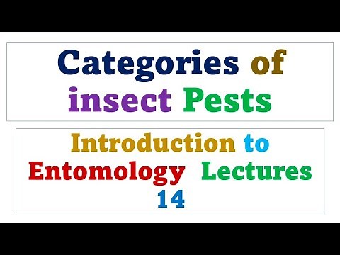 Categories of pests | insect pests | Entomology