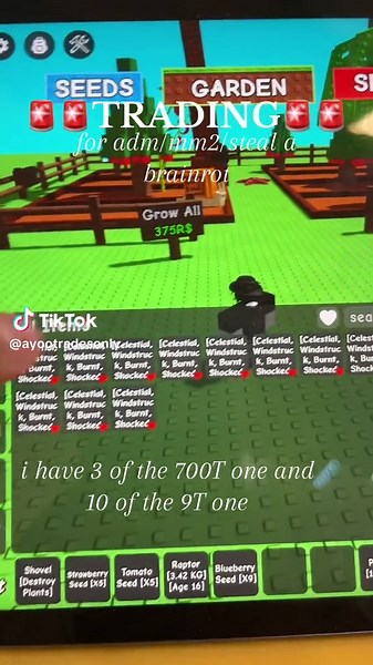 Trading Items in Roblox MM2: What You Need to Know