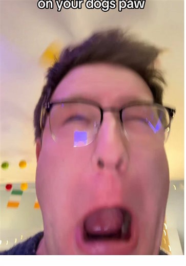 Poor bb!!! #doggy #comedy #dogmemes #funnydogs #wtf | dogs