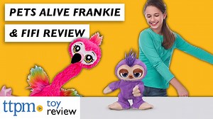 Watch Pets Alive Frankie the Funky Flamingo and Fifi the Flossing Sloth! from Zuru on Amazon Live