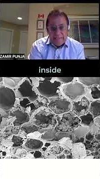 A Look Under the Microscope, Hidden Spores in Cannabis Flowers!