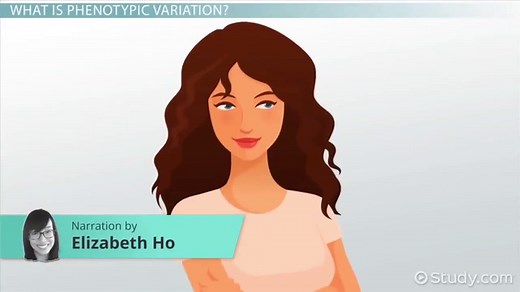 Phenotypic Variation | Overview, Types & Causes