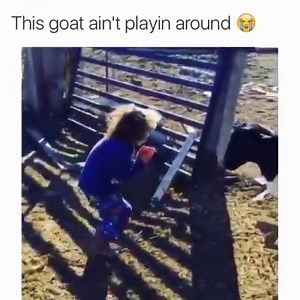 190K views · 1.6K shares | DMX on Reels | Facebook