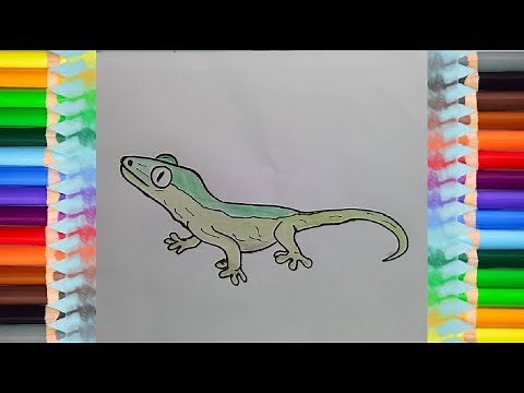 How to draw a Leopard Gecko step by step