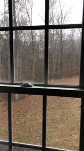 5.3K views · 191 reactions | It is snowing outside my window. What about yours? | Nikki-Dee Ray | Facebook