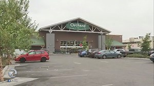 OSH reborn (sort of); 7 new stores set to open in South Bay