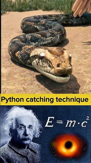 Proper catching technique of a python