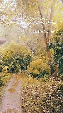 Beautiful Auroville Rain Or Shine #aurovillelife