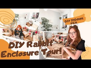 DIY Indoor Rabbit Enclosure Tour