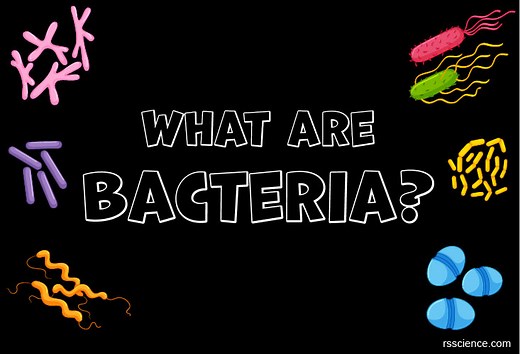 Bacteria - Definition, Structure, Types & Infections