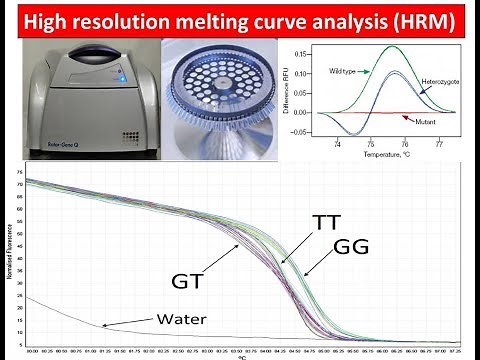 High Resolution Melting Curve Analysis (HRM)