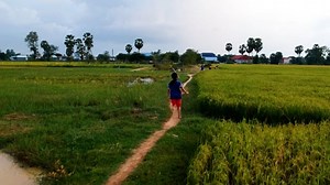 子供達 走る フィールド - Free video on Pixabay