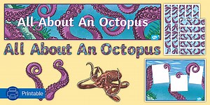 All About An Octopus Display Pack