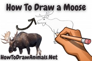 How To Draw a Moose - EASY Drawing Tutorial!