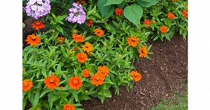 How it Works:  Preen Garden Weed Preventers