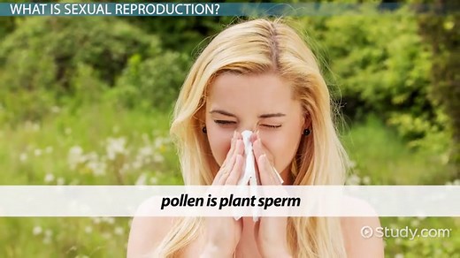 You must c C reate an account to continue watching