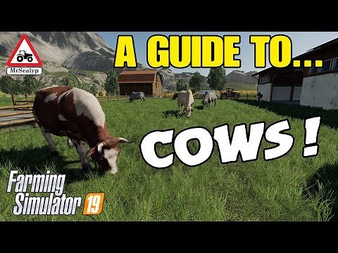 A Guide to... COWS! Farming Simulator 19, PS4, Assistance!