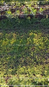 390 reactions · 18 comments | Perspective is a funny thing: a video...