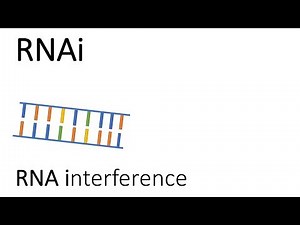 RNAi - RNA interference