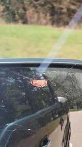 17K views · 146 reactions | Creepy. | The Shabby Shack | Facebook