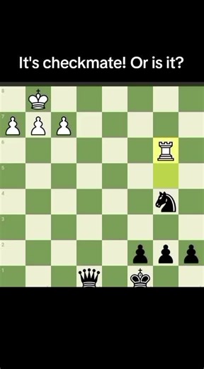 It's checkmate! Or is it? #chesslover #chess #fypppp #fyp #chessss