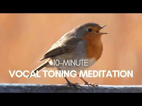 Guided Humming & Vocal Toning Meditation | Self Love Sound Healing | 10-Minute Vagus Nerve Massage
