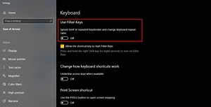 USB Keyboard not recognized on all ports in Windows 11