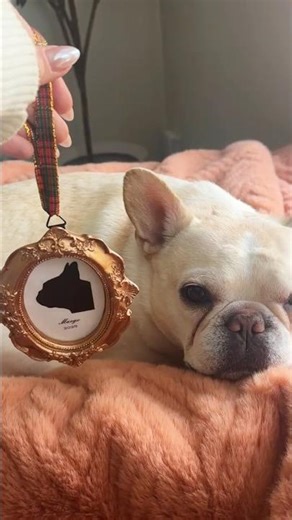 Silhouette Ornaments 🎄