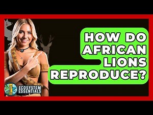How Do African Lions Reproduce? - Ecosystem Essentials