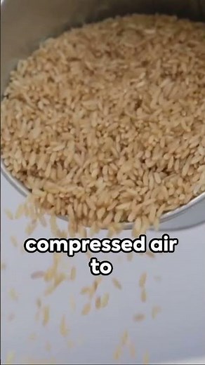 How To Fix a Water Damaged iPhone