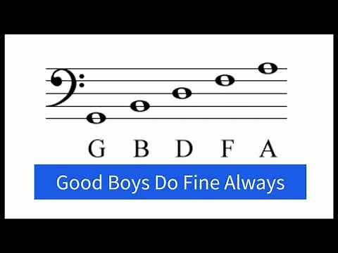 How to Read Notes on the Bass Clef (Staff)