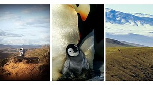 Environnement : 11 documentaires choc à voir ou revoir