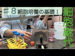 【おうちで学ぶ東京バイオ】♯8細胞の継代( 細胞培養の基礎)