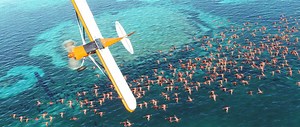 Development Roadmap - Microsoft Flight Simulator
